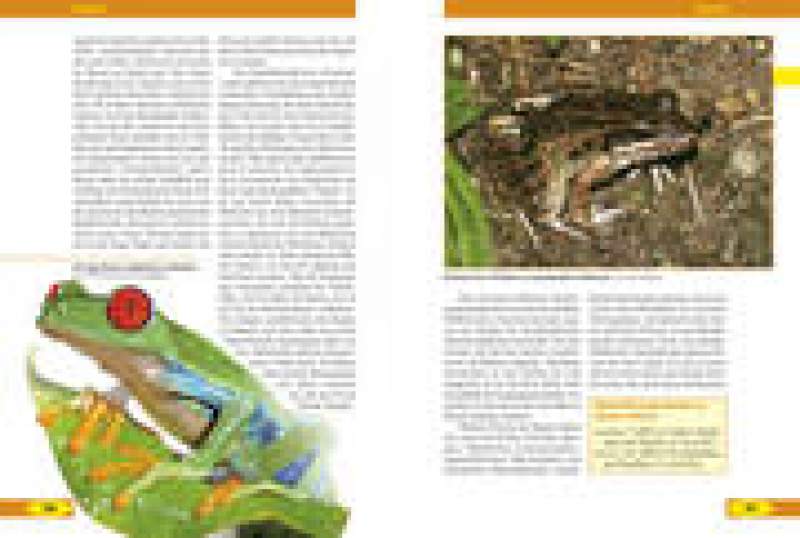 Preview: Costa Rica – Naturreiseführer